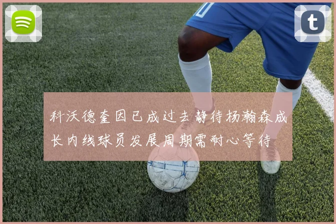 科沃德奎因已成过去静待杨瀚森成长内线球员发展周期需耐心等待