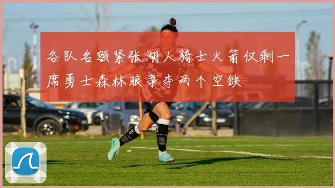 各队名额紧张湖人骑士火箭仅剩一席勇士森林狼争夺两个空缺